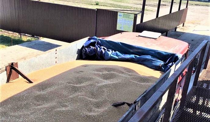 Bitrix 108412: 04.jpg