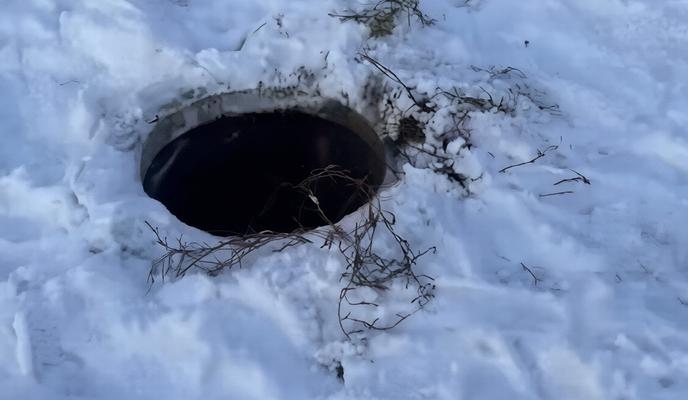 Bitrix 182787: 04.jpg