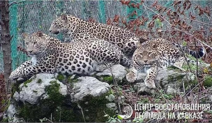 Bitrix 161353: 052.jpg