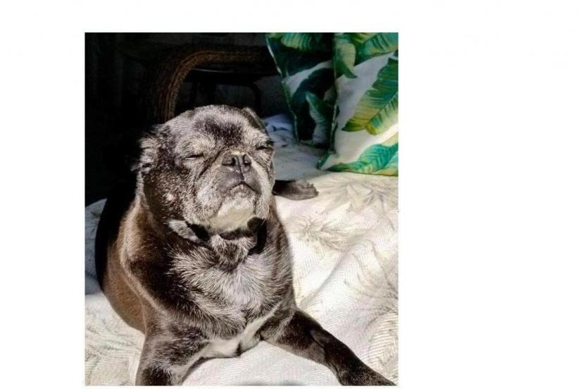 Bitrix 69276: 052.jpg