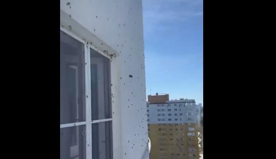 Bitrix 105281: 055.png