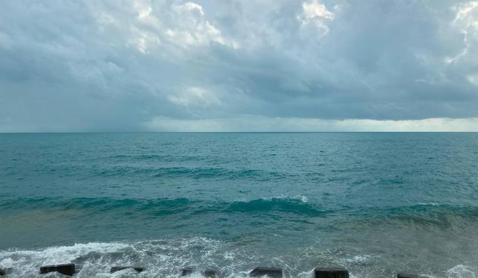 Bitrix 120503: 05.jpeg