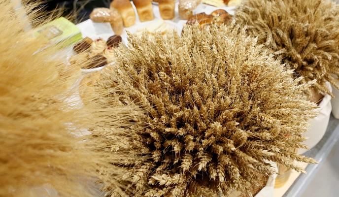 Bitrix 87058: 05.jpg