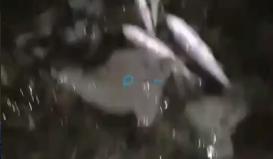 Bitrix 98682: 05.png