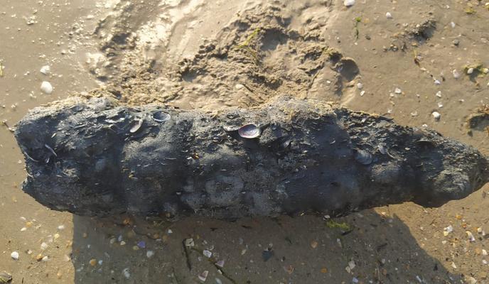 Bitrix 99944: 05.jpeg