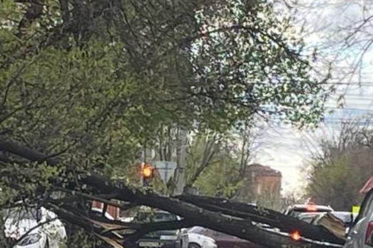 Bitrix 116436: 05.png