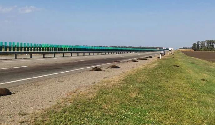 Bitrix 123578: 05.png