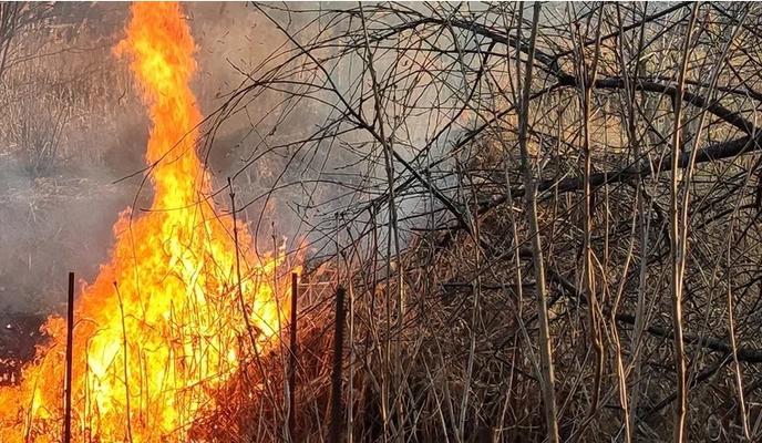 Bitrix 185241: 063.jpg