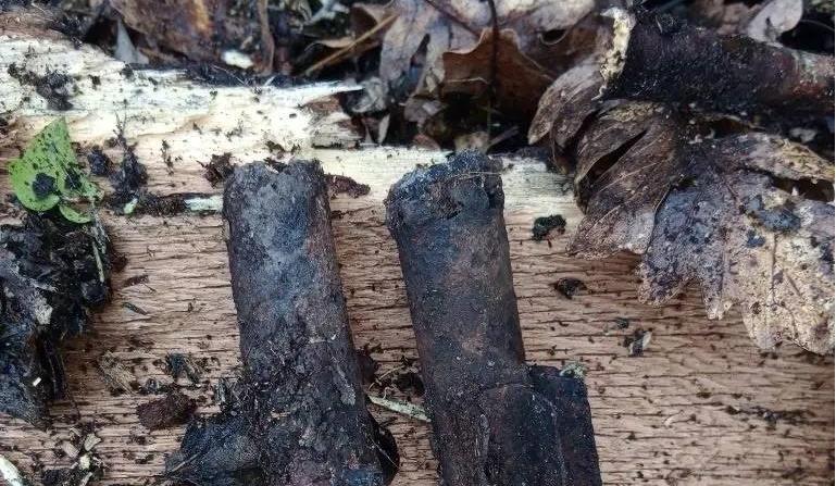 Bitrix 183629: 06.jpg