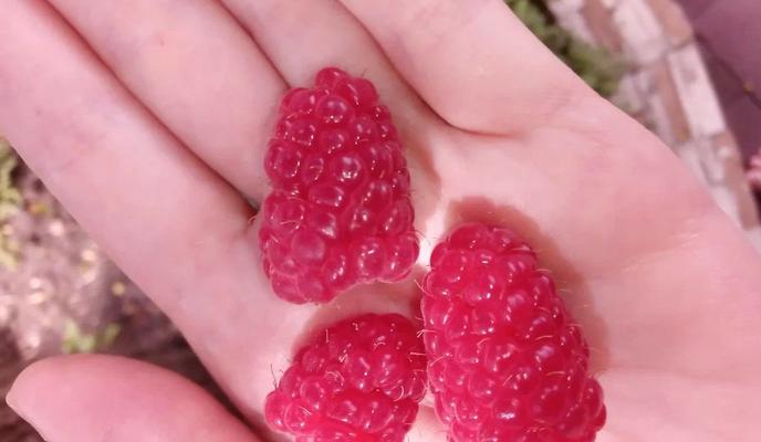 Bitrix 183982: 06.jpg