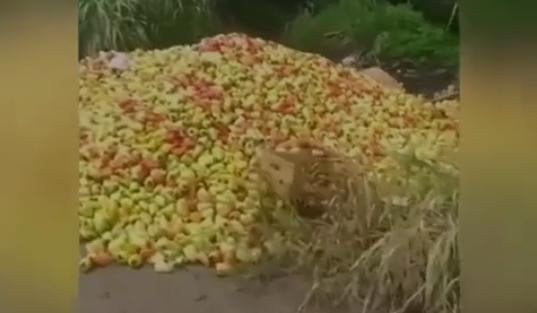 Bitrix 104852: 06.png