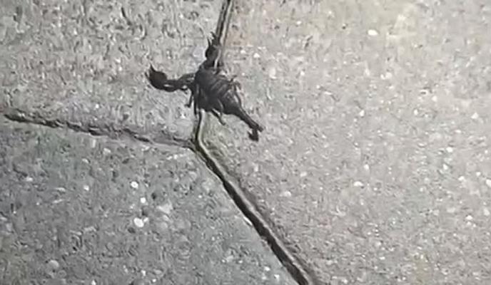 Bitrix 99571: 07.jpeg