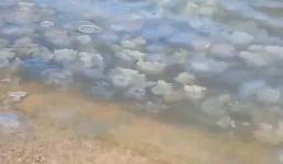 Bitrix 121738: 07.png