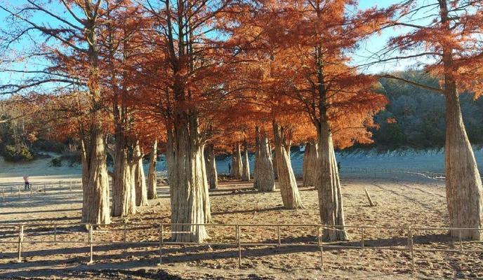 Bitrix 125937: 07.jpeg