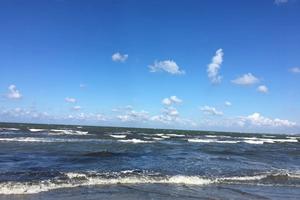 Bitrix 169323: 07.jpeg