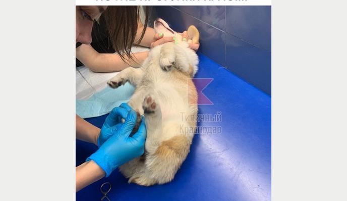 Bitrix 118887: 07.png