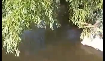 Bitrix 120627: 07.png