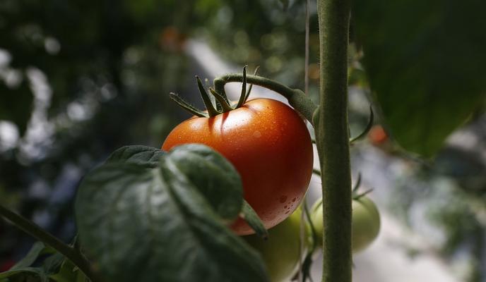 Bitrix 108609: 07.jpg