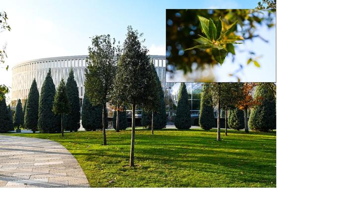 Bitrix 162677: 088.jpg