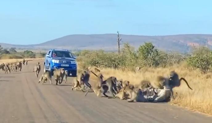 Bitrix 138614: 088.jpg