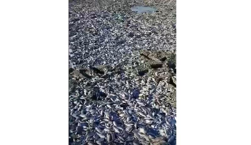 Bitrix 161922: 089.jpg