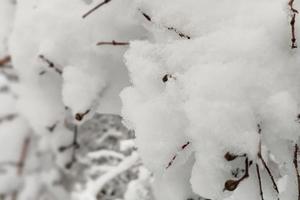 Bitrix 167130: 08.jpg