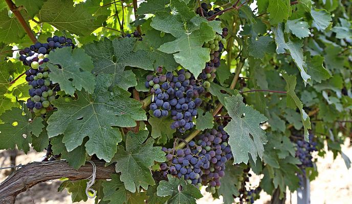 Bitrix 104295: 08.jpg