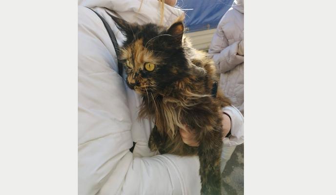 Bitrix 125401: 08.png