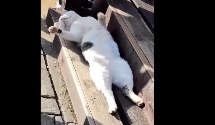 Bitrix 125993: 08.png