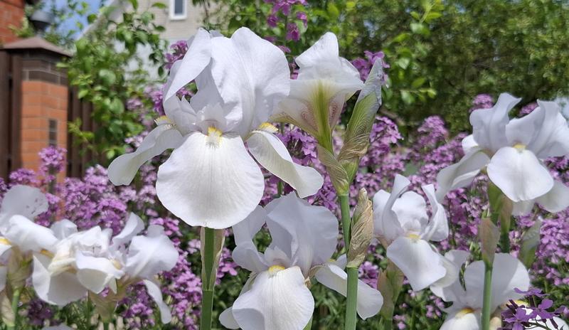 08
