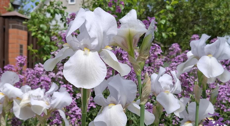 08
