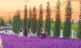 Bitrix 96886: 090.png