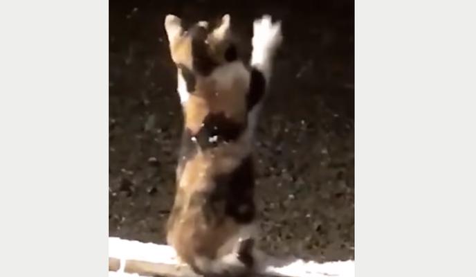 Bitrix 111133: 099900.png