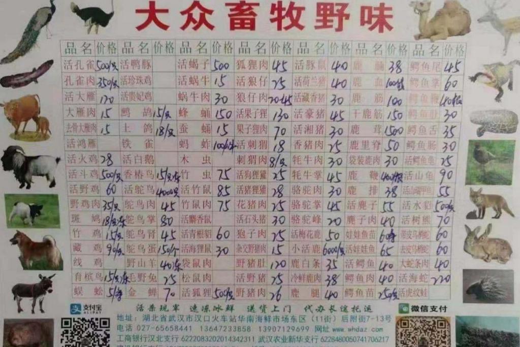 Bitrix 70870: 0999.jpg