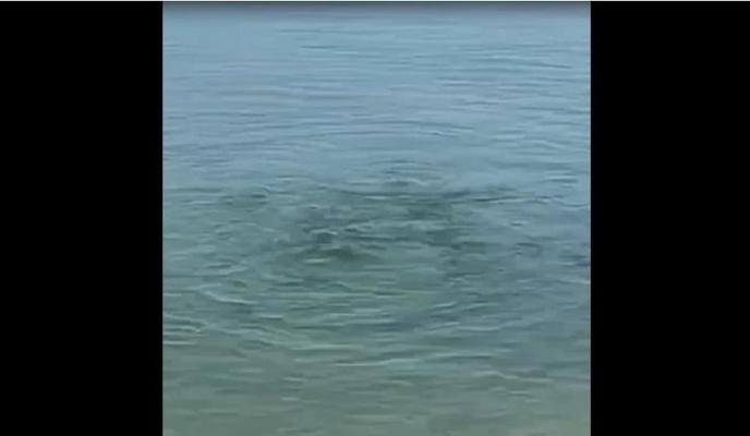 Bitrix 146586: 09.jpg