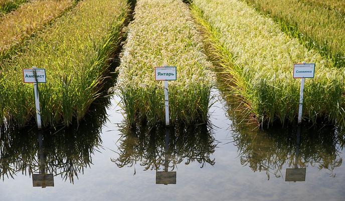 Bitrix 103229: 09.jpeg