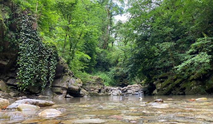 Bitrix 98690: 09.jpg