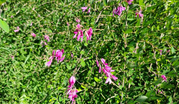 Bitrix 157485: 0VzfxcAfe6k.jpg