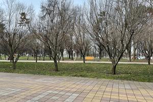 Bitrix 146413: 0b0cb773_8ff2_4db9_ab35_d250ed6ad4e0.jpg