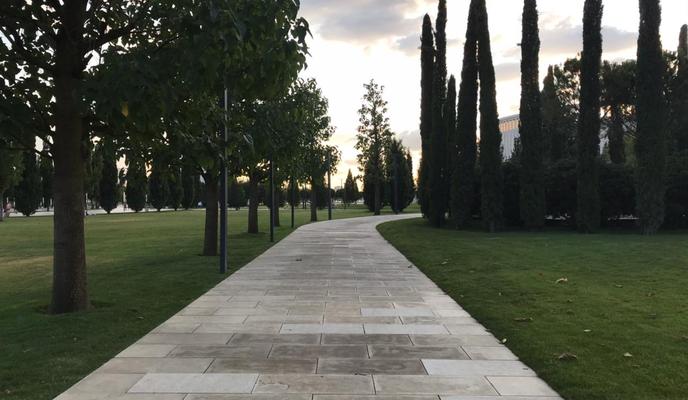 Bitrix 119637: 0d518ee6_2875_4ffc_81bd_3102a9e3508c.jpg