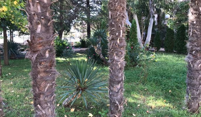 Bitrix 178093: 0d852486_6fd7_45a6_b5c9_fd4fff6e515a.jpg