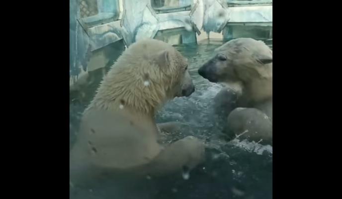 Bitrix 112371: 0yU8i2tjNpk.jpg