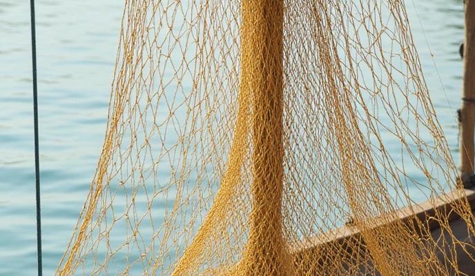 Bitrix 183323: 100.jpg