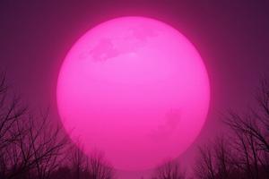 Bitrix 185804: 100.jpg