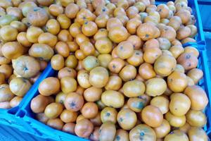 Bitrix 164105: 101.jpg