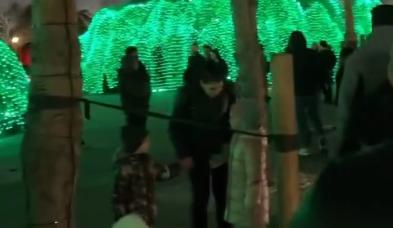 Bitrix 182357: 102026.png