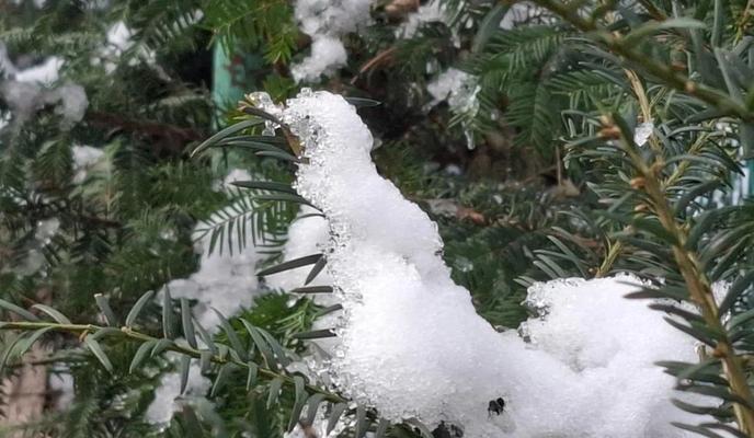 Bitrix 183625: 102.jpg