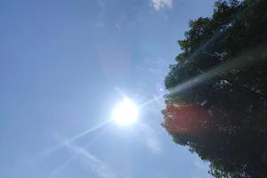 Bitrix 174496: 10.jpg