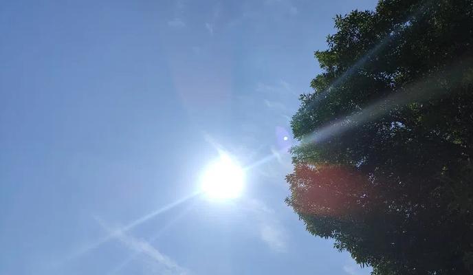 Bitrix 174496: 10.jpg