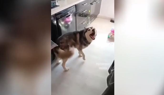 Bitrix 108350: 10.jpg